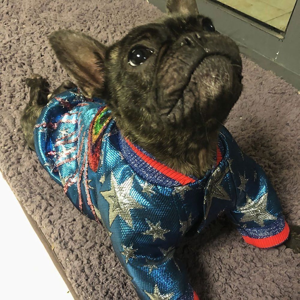 Fashion Design pet dog cat coat,Funny Sequin Flashy Party clothes for pet - Picture 7 of 13
